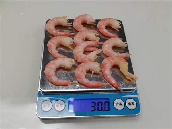 吃北极甜虾 少见南极磷虾开元棋牌网站为何我们常(图4) 吃北极甜虾 少见南极磷虾开元棋牌网站为何我们常(图4)