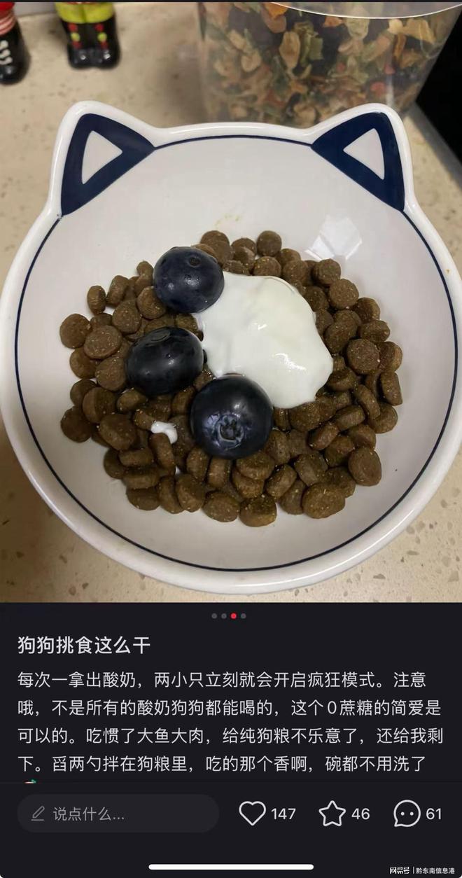 方”撬动萌宠经济与母婴信任双赛道开元ky